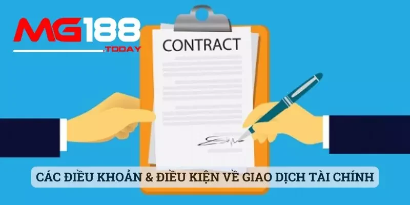 Điều khoản & điều kiện 2 Các điều khoản & điều kiện về giao dịch tài chính