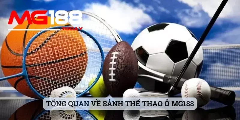 Tổng quan về sảnh thể thao ở MG188